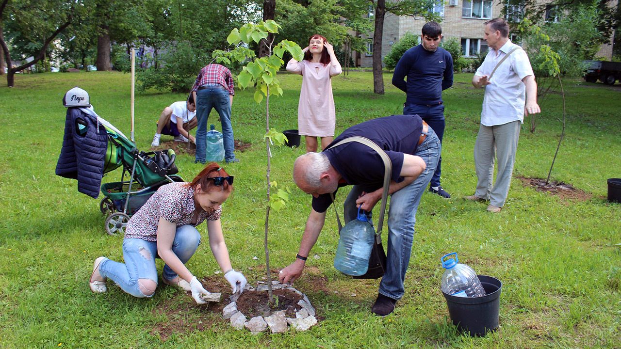 Экологичное преобразование двора МКД